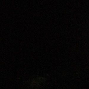 Meet your Posher, Bob